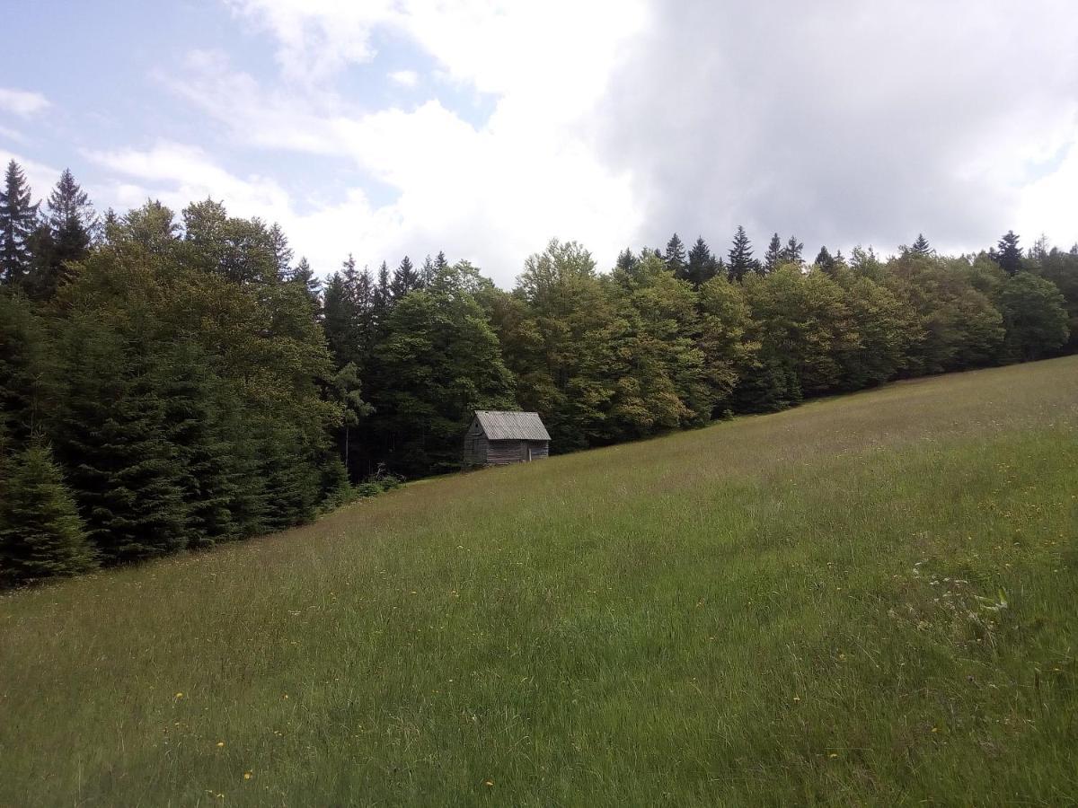 Apartamento Alm-House Hollmann Železná Ruda Exterior foto