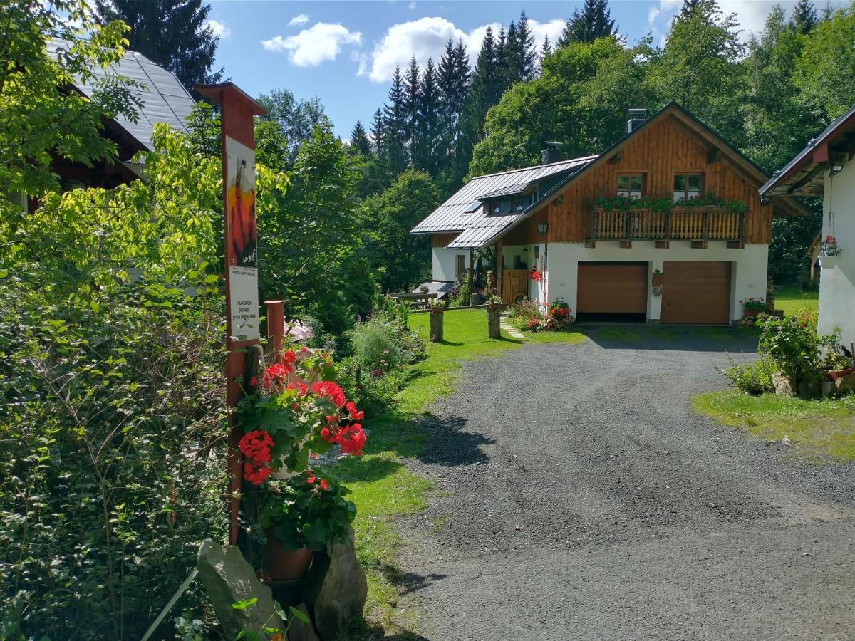Apartamento Alm-House Hollmann Železná Ruda Exterior foto