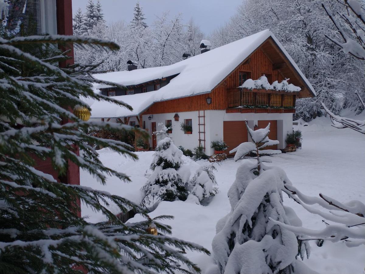 Apartamento Alm-House Hollmann Železná Ruda Exterior foto