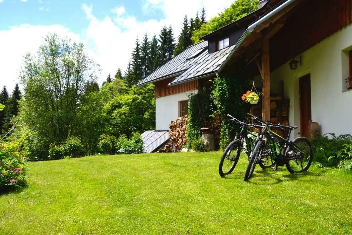 Apartamento Alm-House Hollmann Železná Ruda Exterior foto